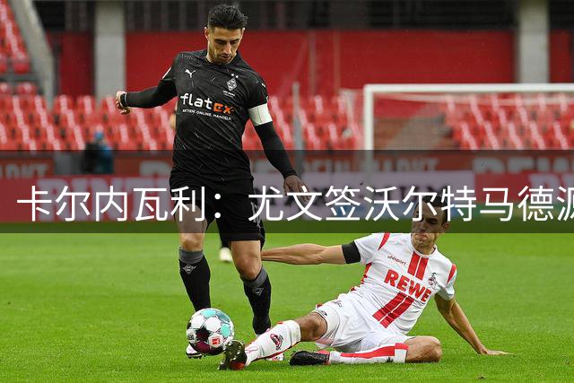 卡尔内瓦利：尤文签沃尔特马德源于战术需求