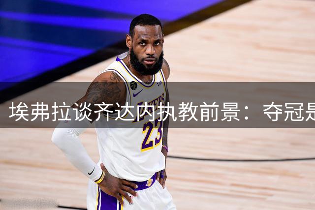 埃弗拉谈齐达内执教前景：夺冠是唯一标准