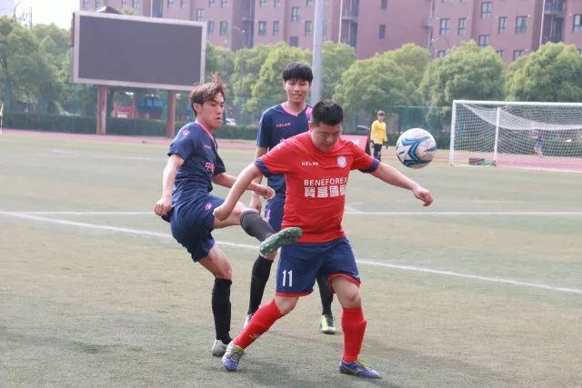 杨瀚森迎来生涯重要转折点 开拓者内线竞争暗藏玄机