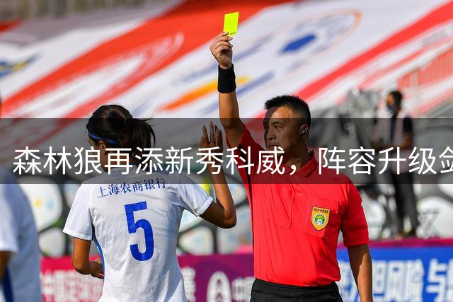 森林狼再添新秀科威，阵容升级剑指马刺雷霆